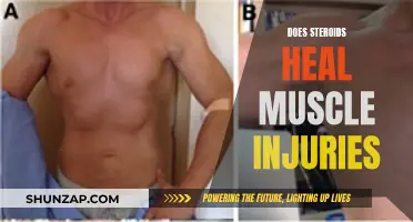 Steroids: Muscle Injury Healer or Hindrance?