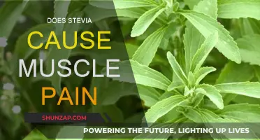 Stevia's Dark Side: Muscle Pain and More