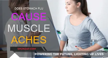 Stomach Flu and Muscle Aches: What's the Link?