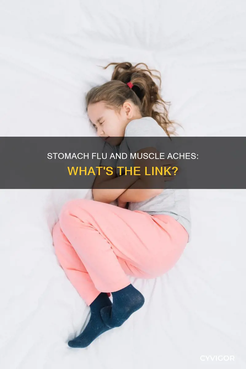 does stomach flu cause muscle aches