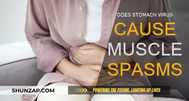 Stomach Virus and Muscle Spasms: What's the Link?