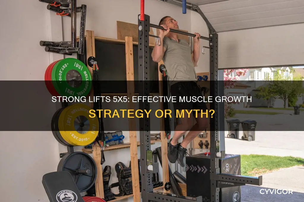 does stong lifts 5x5 grow muscle