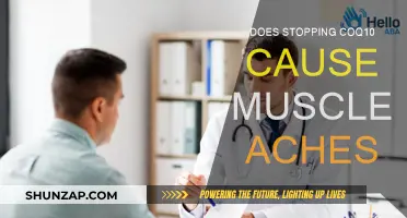 CoQ10 and Muscle Aches: What's the Connection?