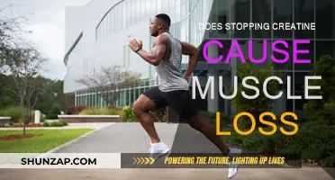 Creatine and Muscle Loss: What's the Real Deal?