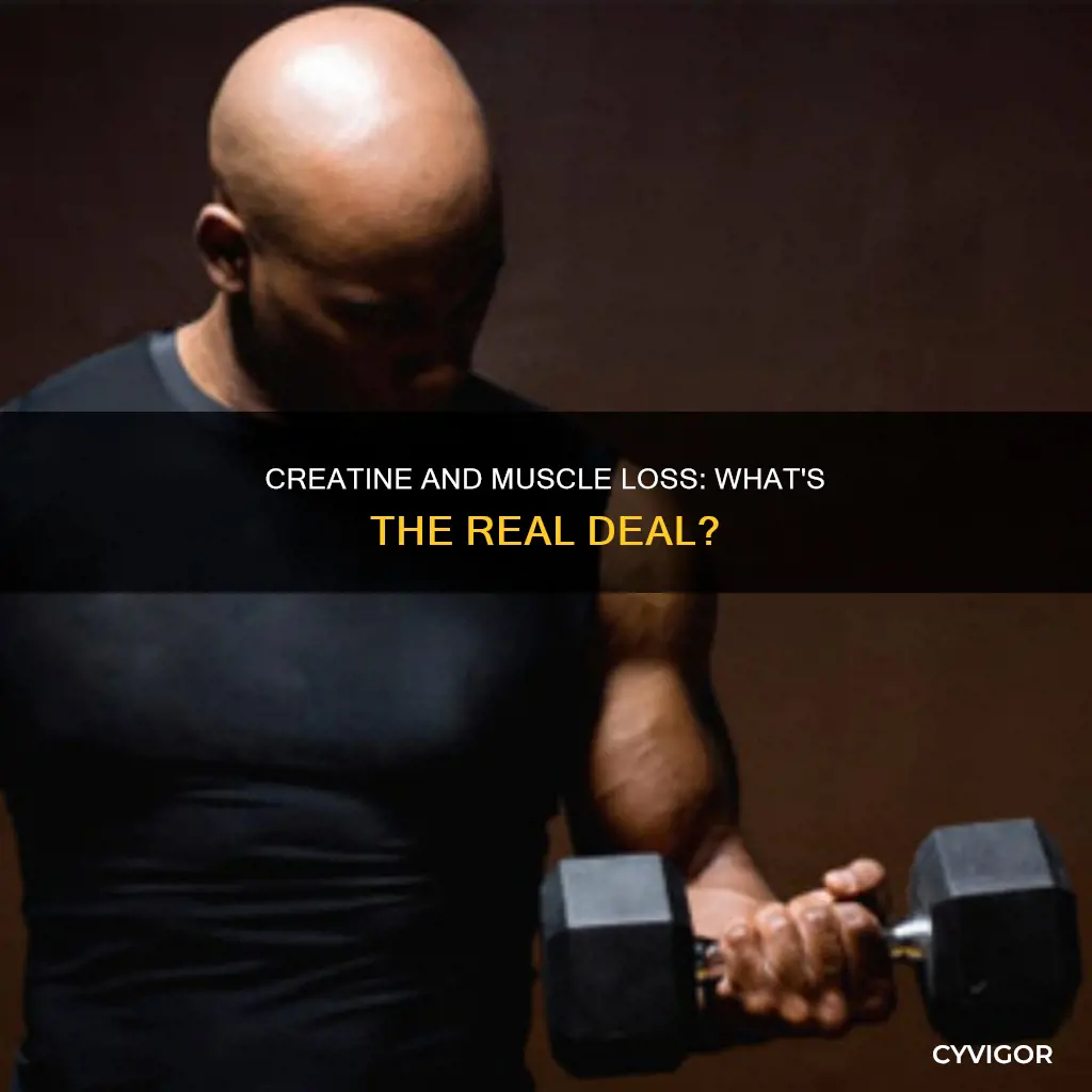 does stopping creatine cause muscle loss