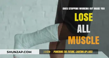 Does Stopping Workouts Lead to Muscle Loss? The Truth Revealed