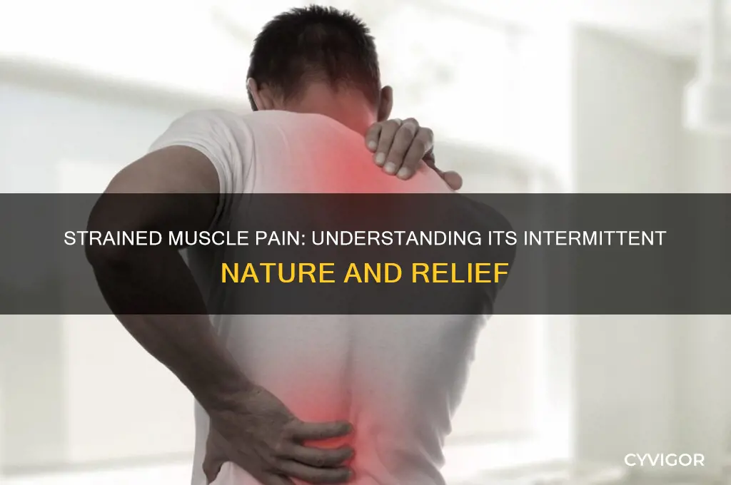 does strained muscle pain come and go