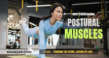 Strengthening Postural Muscles: The Foundation of a Healthy Body