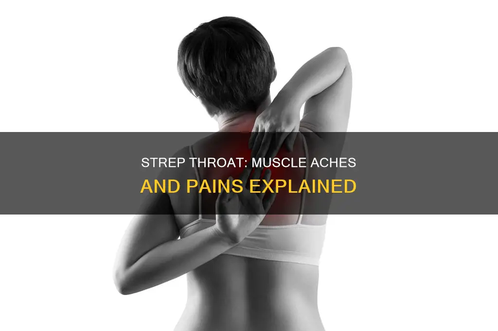 does strep involve muscle aches