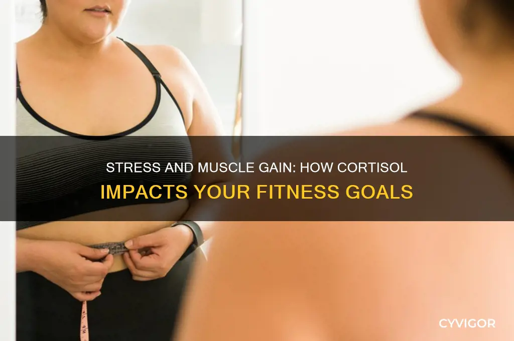 does stress affect muscle gain
