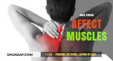 Unraveling the Tension: How Stress Impacts Your Muscles