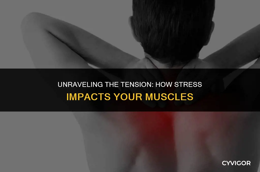 does stress affect muscles