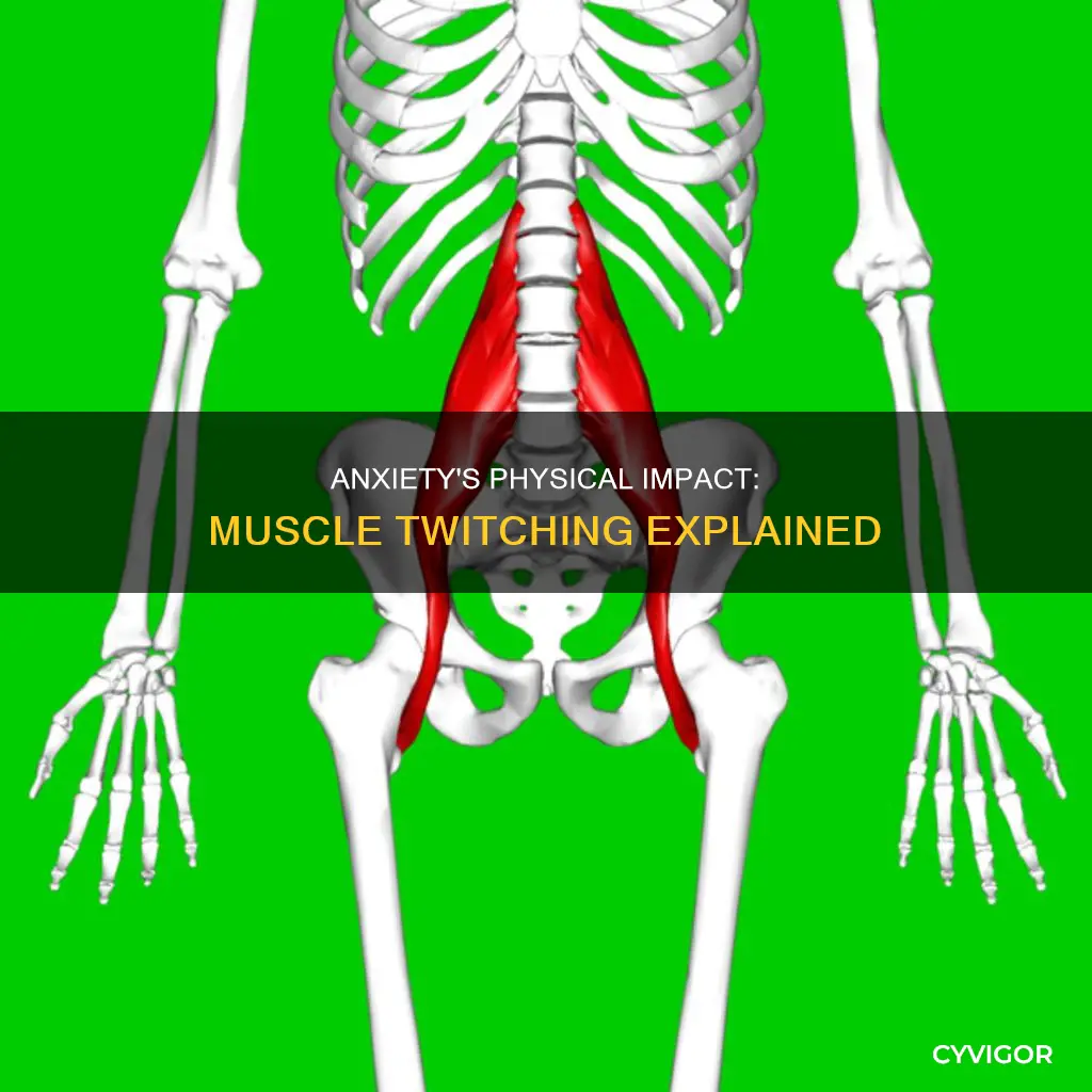 does stress and anxiety cause muscle twitches