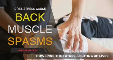 Stress and Back Spasms: Exploring the Connection