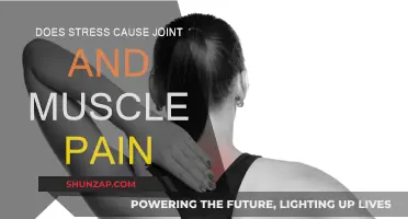 Stress and Body Pain: Is There a Link?