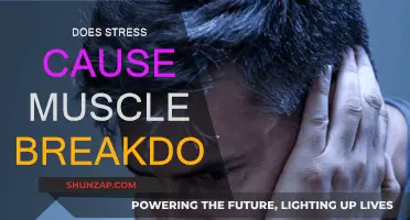 Stress and Muscle Breakdown: What's the Link?