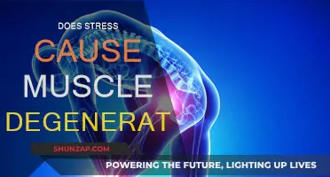 Stress and Muscle Degeneration: Exploring the Link