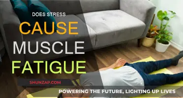 Stress and Muscle Fatigue: Is There a Link?