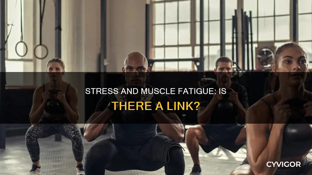 does stress cause muscle fatigue