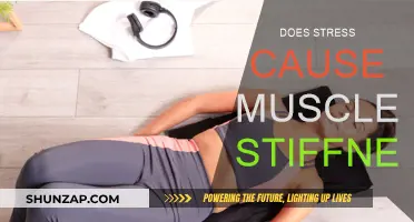 Stress and Muscle Stiffness: Is There a Link?