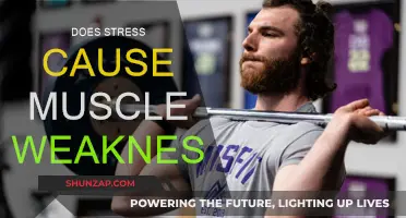 Stress and Muscle Weakness: Exploring the Link