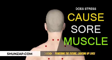 Stress and Sore Muscles: What's the Connection?