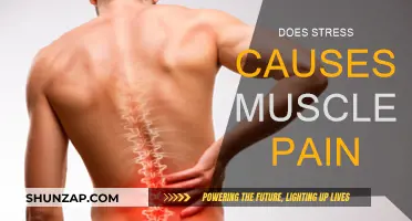 Stress and Muscle Pain: What's the Link?