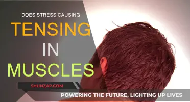 Stress and Muscle Tension: Understanding the Connection