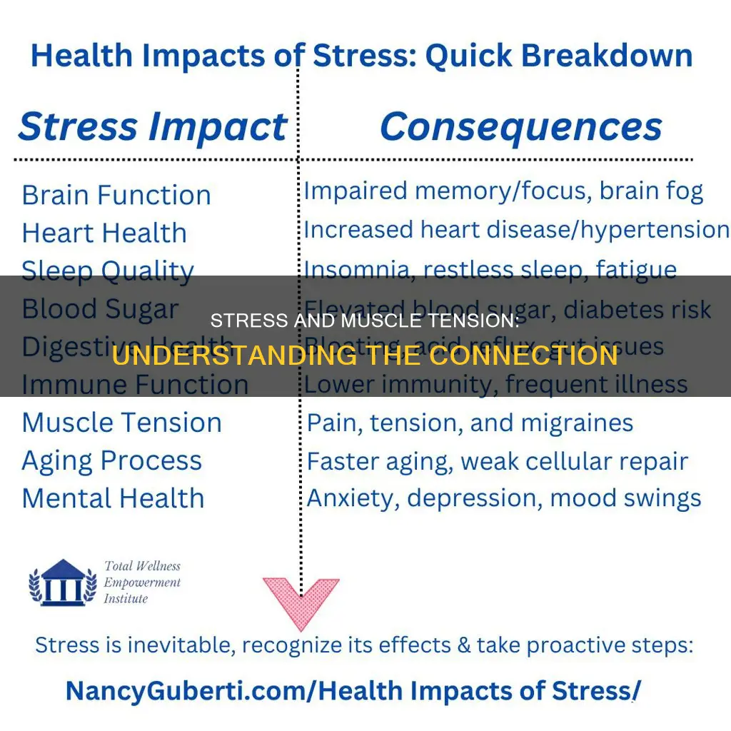 does stress causing tensing in muscles