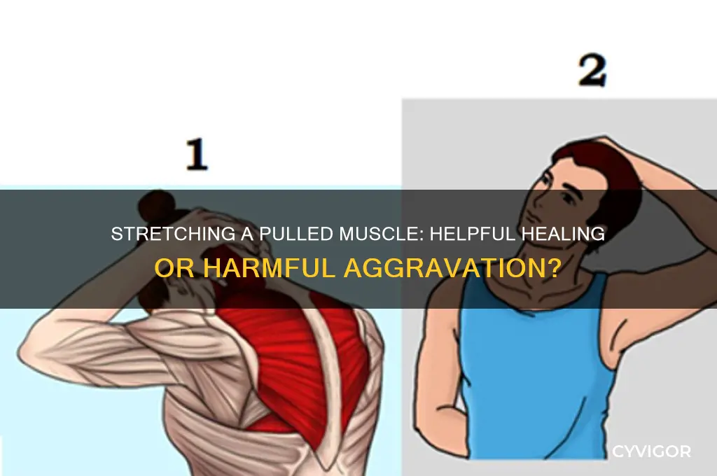 does stretching a pulled muscle make it worse