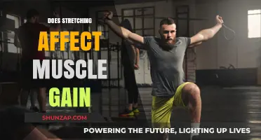 Stretching and Muscle Gain: Unraveling the Impact on Strength Training