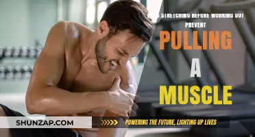 Stretching Before Workouts: Does It Prevent Muscle Pulls?