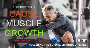 Stretching for Muscle Growth: Does it Work?