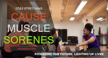 Stretching and Muscle Soreness: What's the Connection?