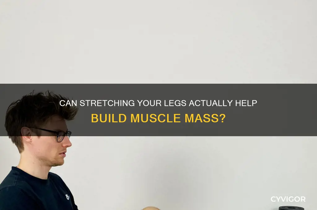 does stretching legs gain muscle