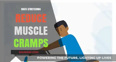 Unraveling the Truth: Does Stretching Really Reduce Muscle Cramps?