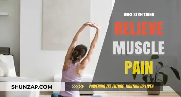 Stretching for Muscle Pain Relief: Fact or Fiction?