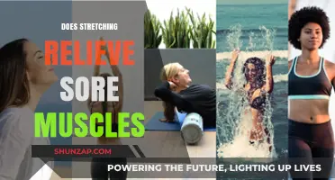 Stretching for Sore Muscles: Effective Relief or Just a Myth?