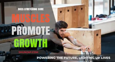 Stretching Sore Muscles: Does It Boost Growth and Recovery?