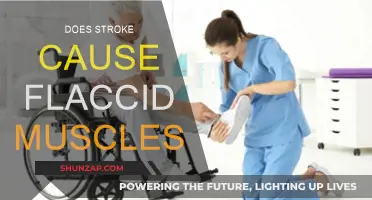 Stroke and Flaccid Muscles: Understanding the Connection