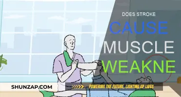 Stroke and Muscle Weakness: What's the Connection?