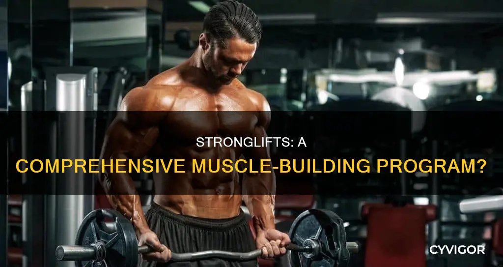 does stronglifts miss any muscles
