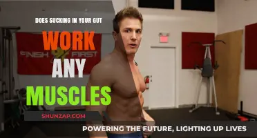 Sucking in Your Gut: Effective Muscle Workout or Just a Myth?