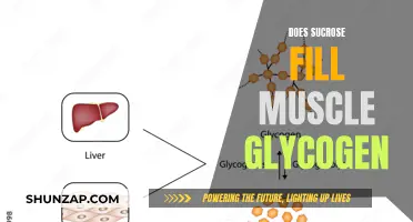 Muscle Glycogen and Sucrose: What's the Connection?