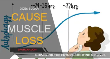 Sugar and Muscle Loss: What's the Connection?