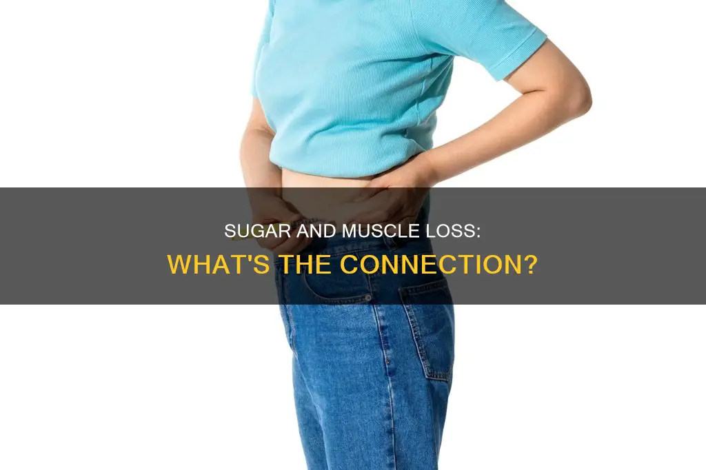does sugar cause muscle loss