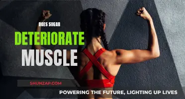 Sugar's Negative Impact: Muscle Deterioration and Recovery