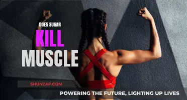 Sugar's Impact: Friend or Foe to Muscle Growth?