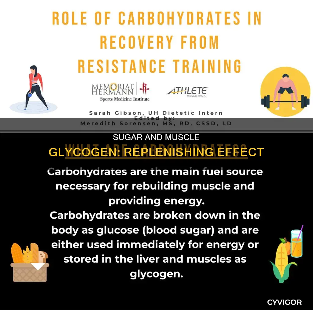 does sugar replenish muscle glycogen