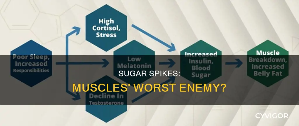 does sugar spikes cause muscle breakdown